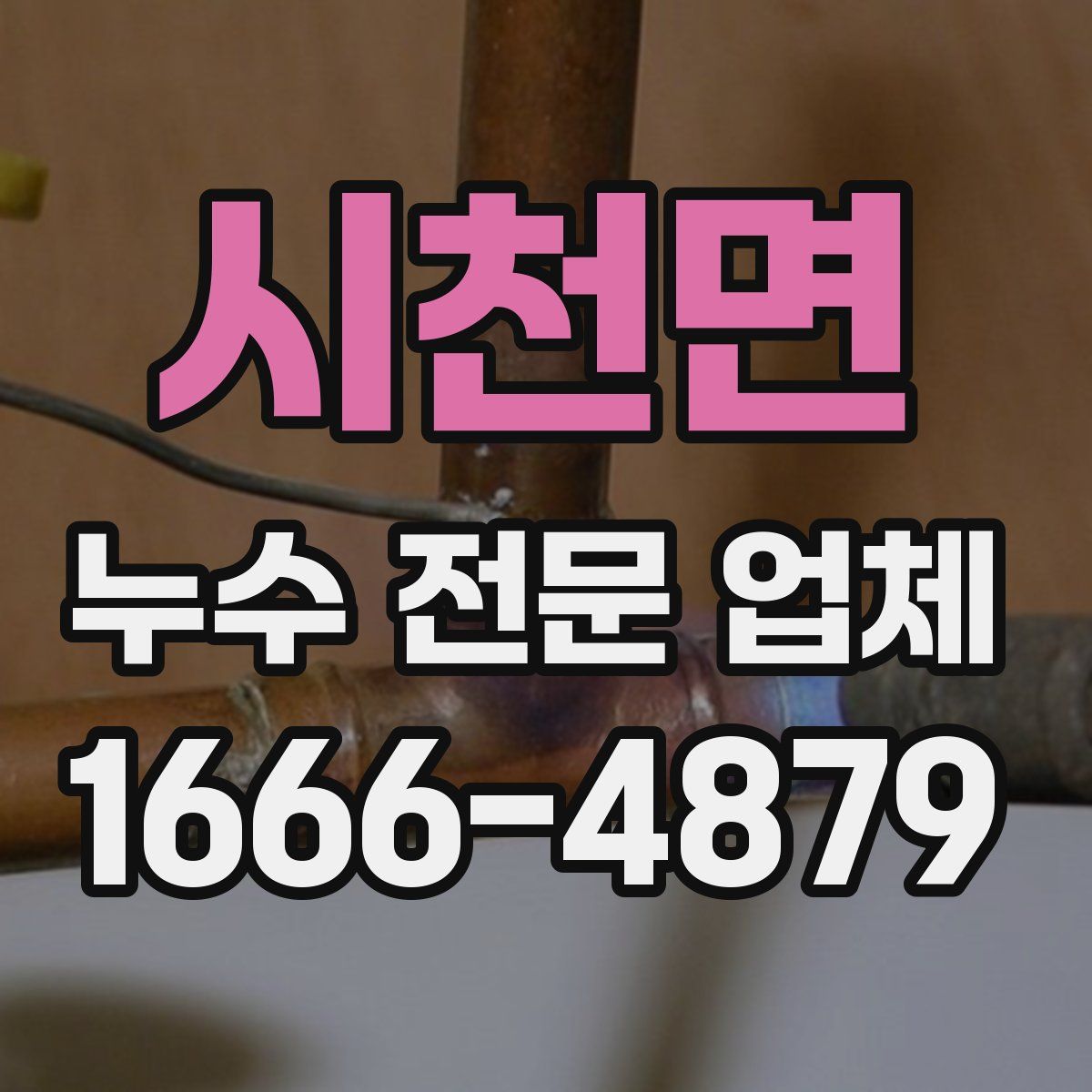시천면 누수 전문 업체