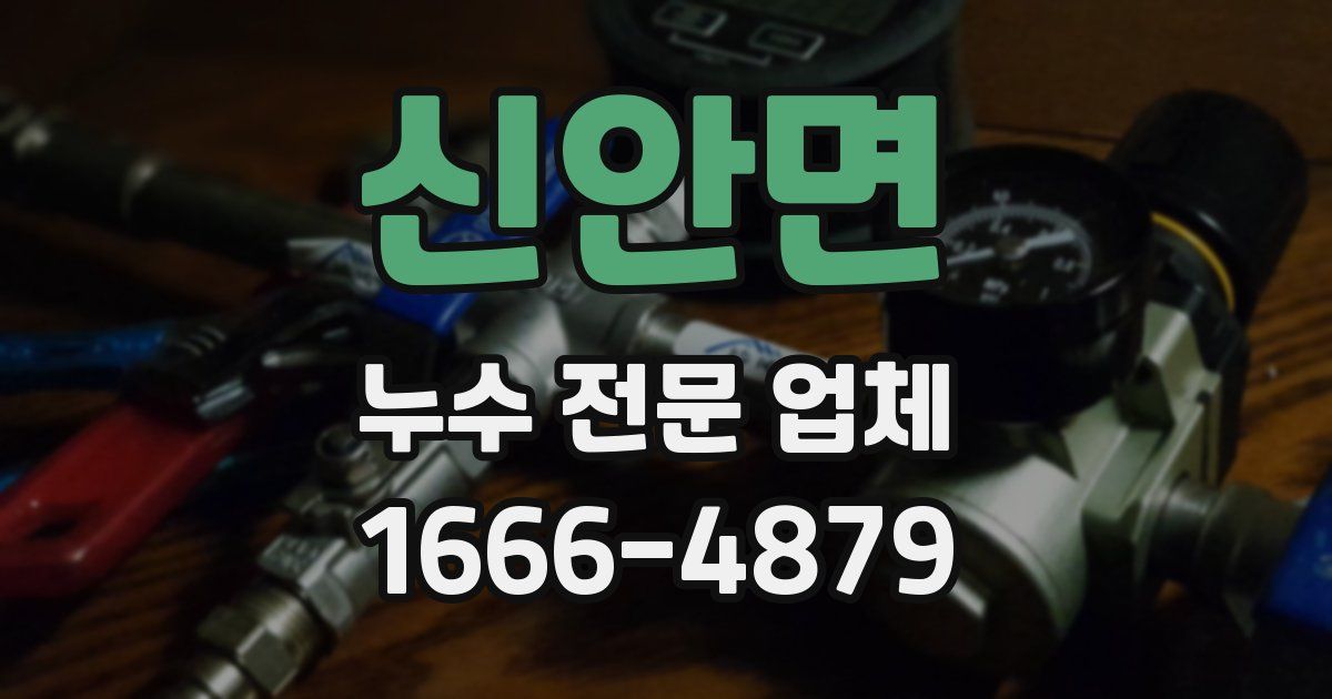 신안면 누수 전문 업체