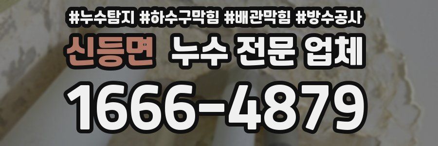 신등면 누수 전문 업체