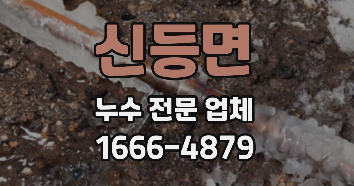 신등면 누수 전문 업체