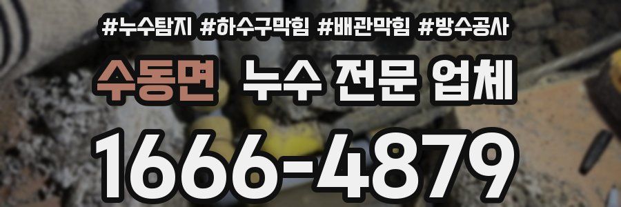 수동면 누수 전문 업체