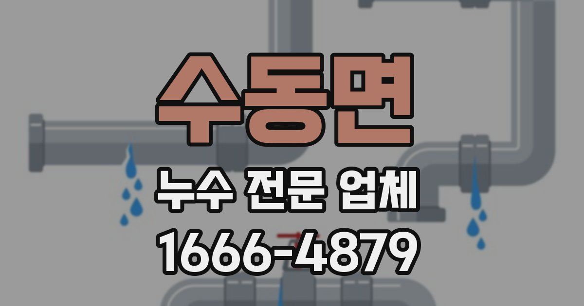 수동면 누수 전문 업체
