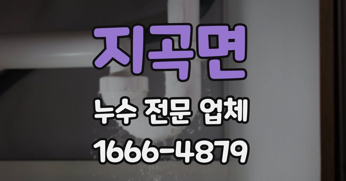 지곡면 누수 전문 업체
