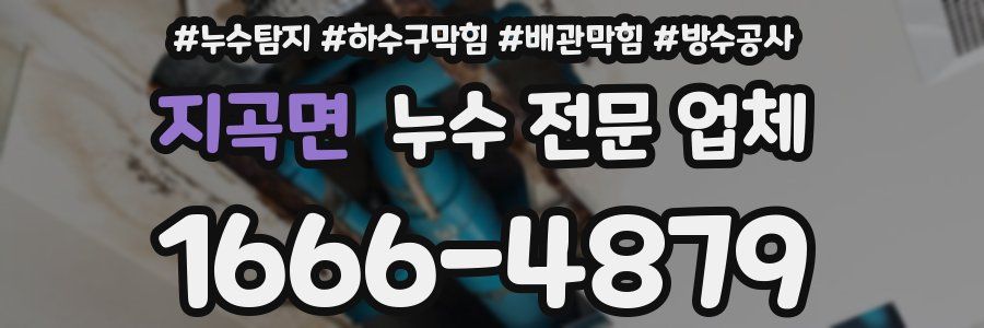지곡면 누수 전문 업체