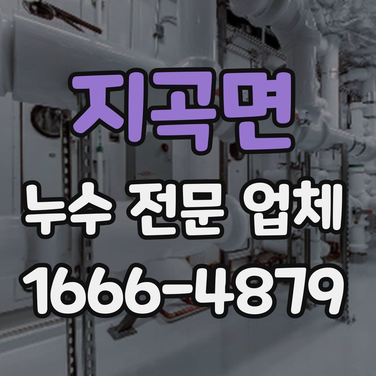 지곡면 누수 전문 업체