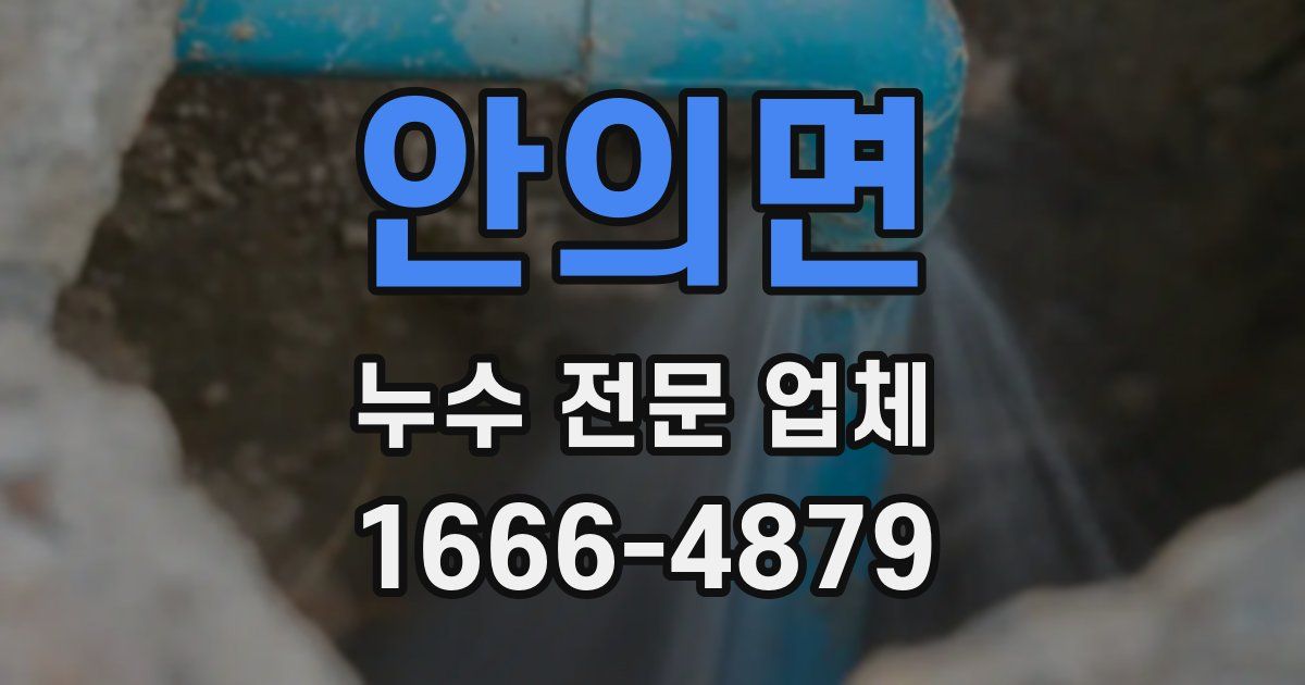 안의면 누수 전문 업체