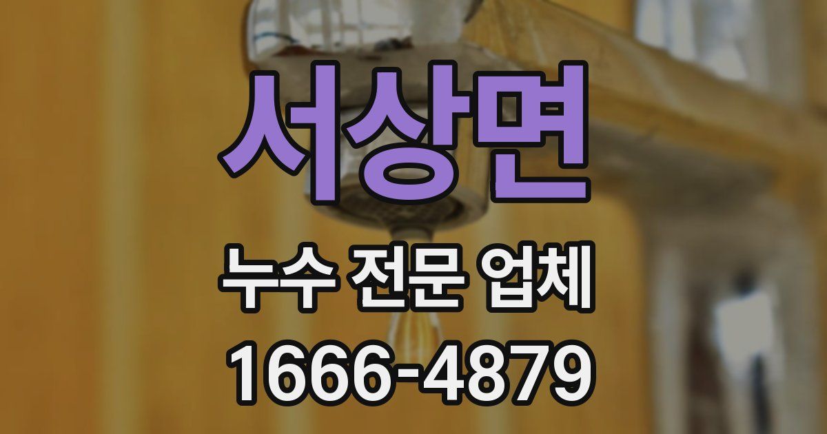 서상면 누수 전문 업체