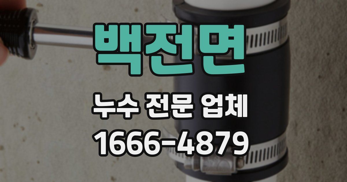 백전면 누수 전문 업체