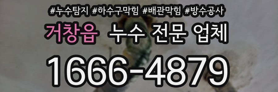 거창읍 누수 전문 업체