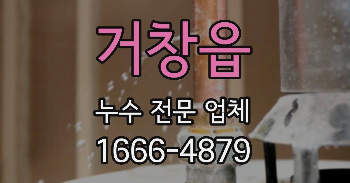 거창읍 누수 전문 업체