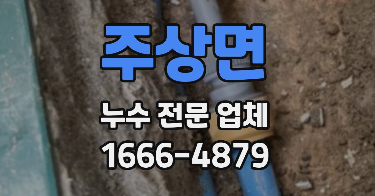 주상면 누수 전문 업체