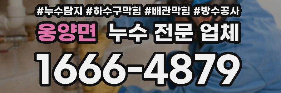 웅양면 누수 전문 업체