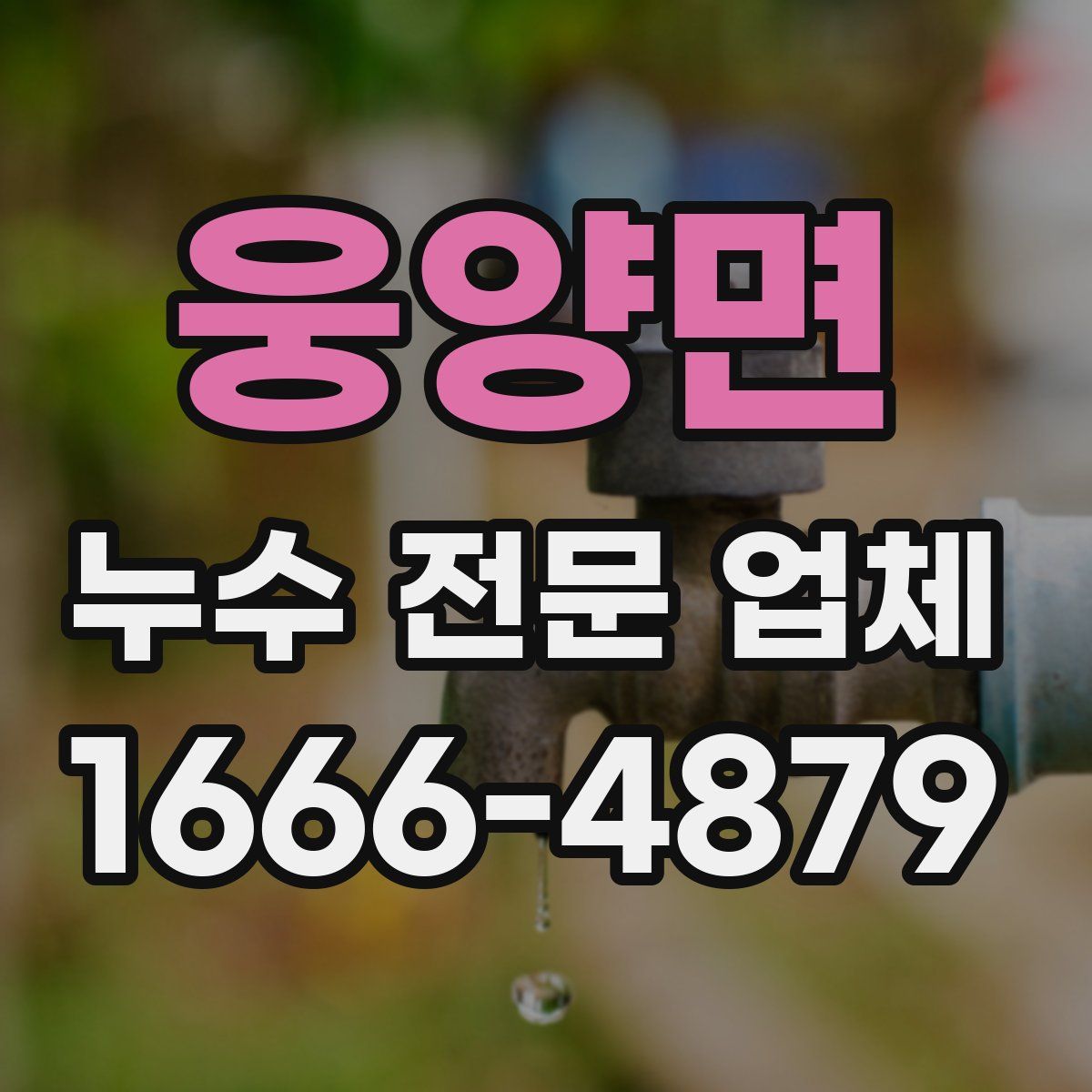웅양면 누수 전문 업체