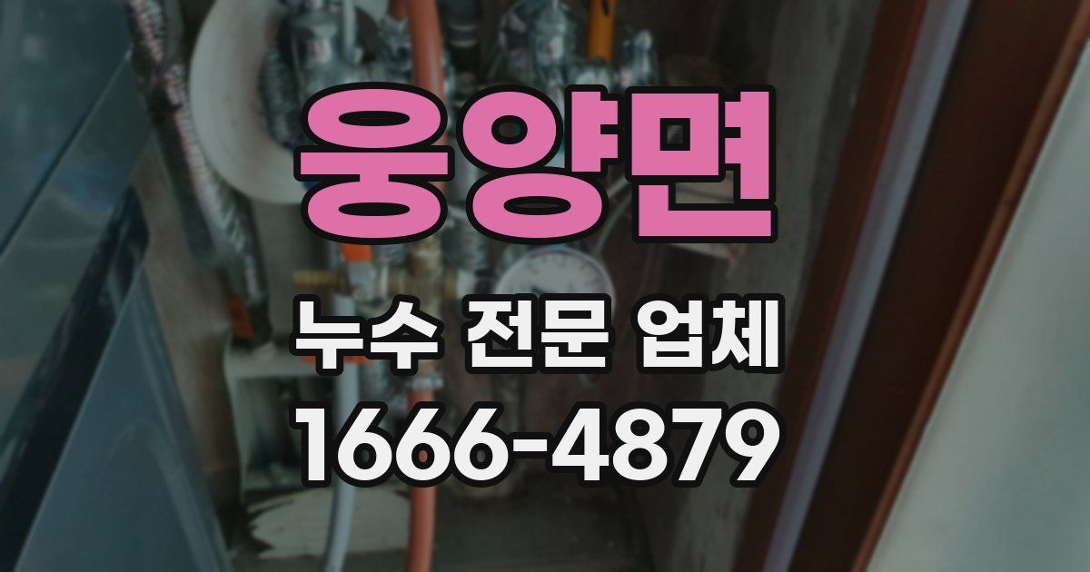 웅양면 누수 전문 업체