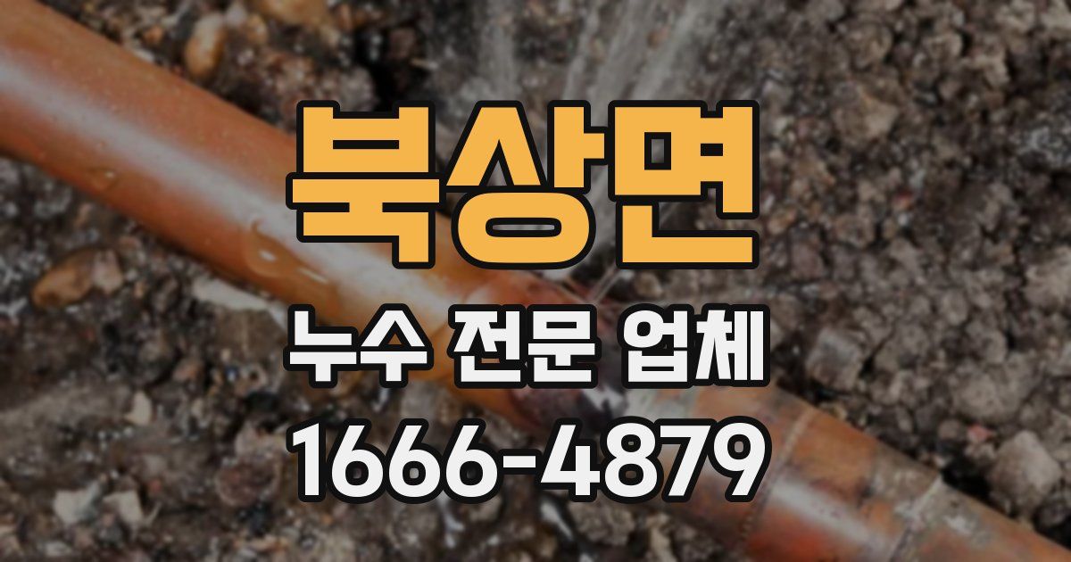 북상면 누수 전문 업체