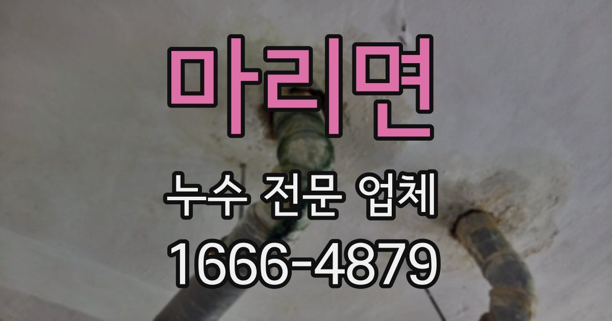 마리면 누수 전문 업체