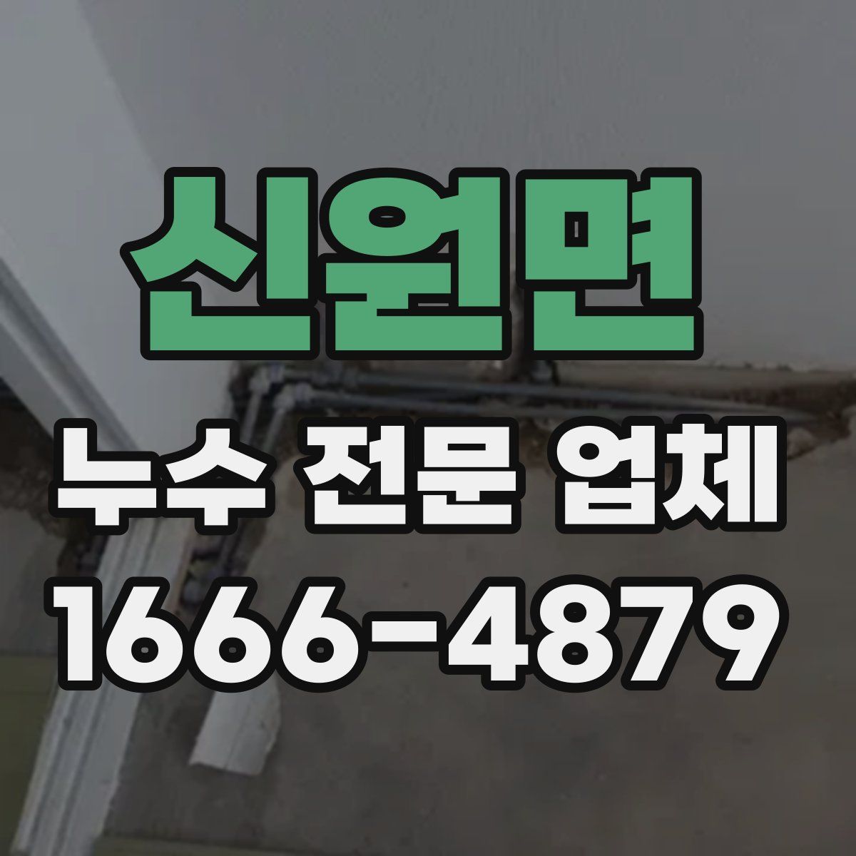 신원면 누수 전문 업체