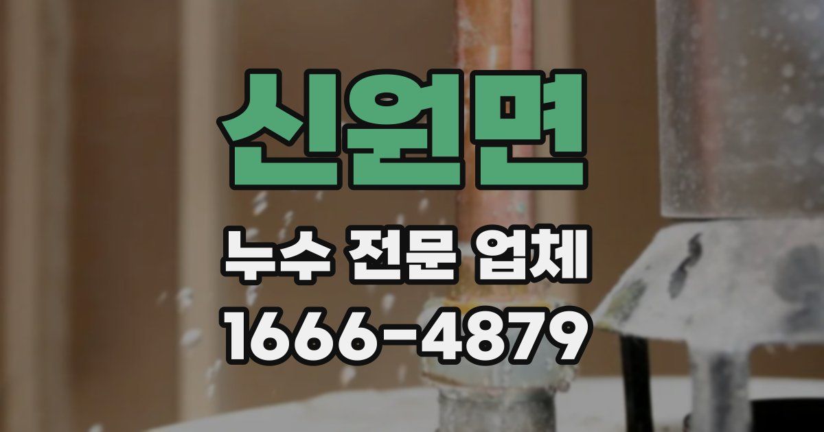 신원면 누수 전문 업체