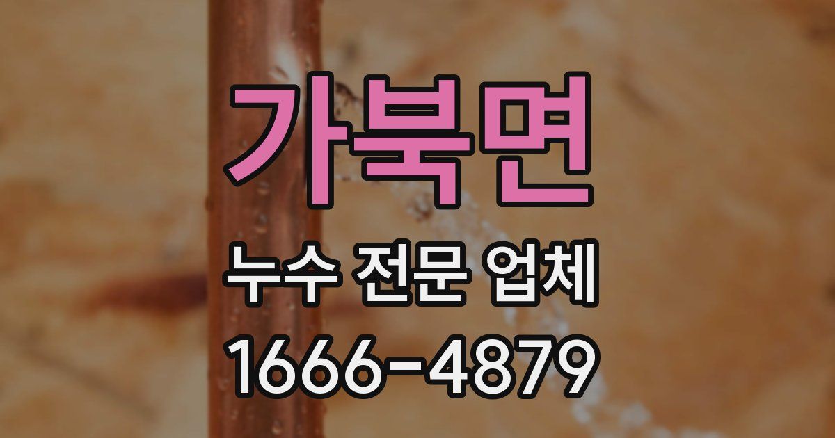 가북면 누수 전문 업체