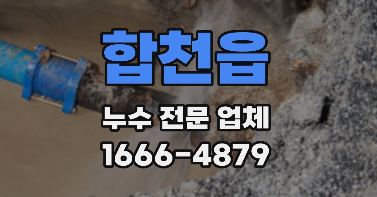 합천읍 누수 전문 업체