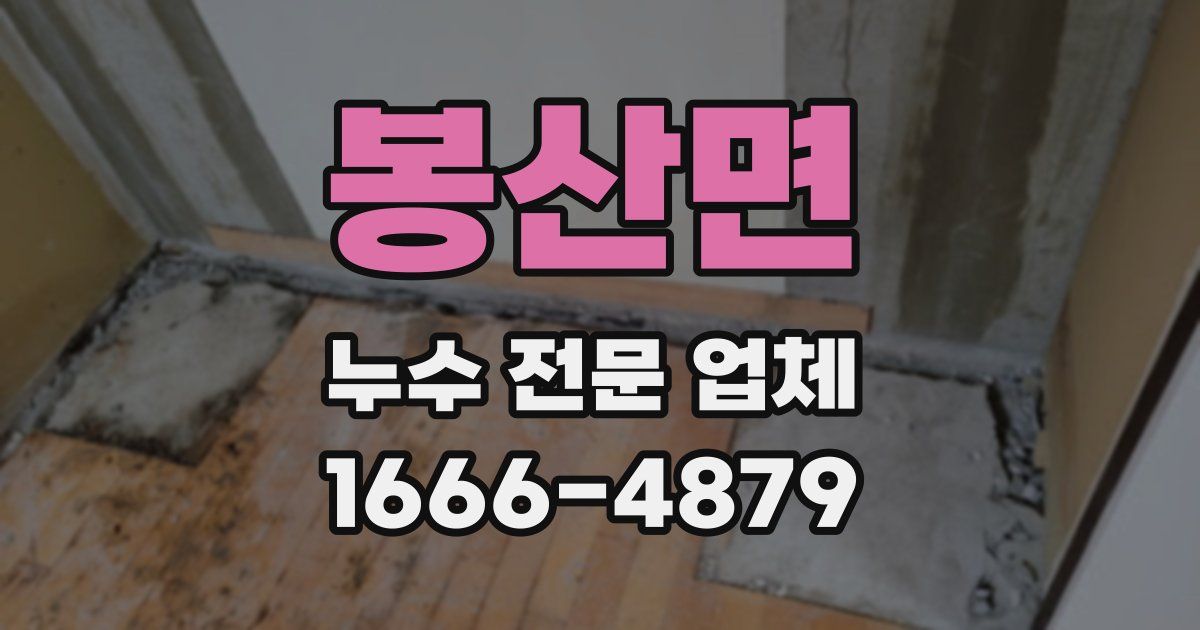 봉산면 누수 전문 업체