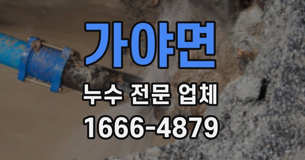 가야면 누수 전문 업체