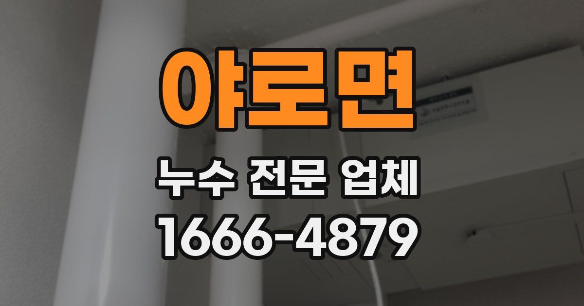 야로면 누수 전문 업체