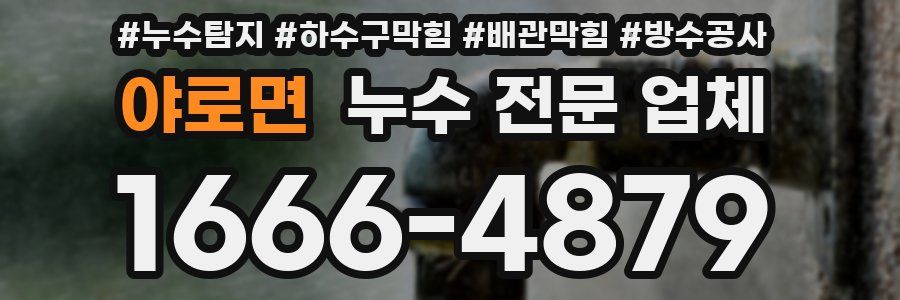 야로면 누수 전문 업체