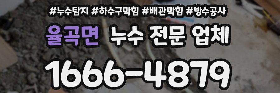 율곡면 누수 전문 업체