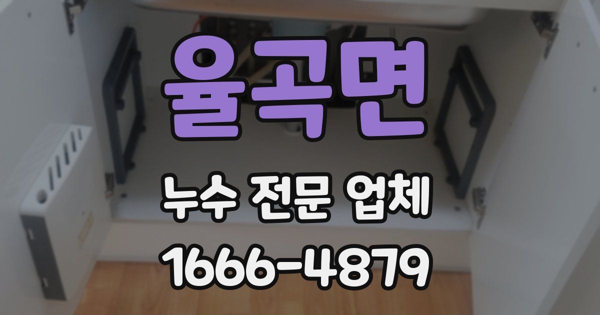 율곡면 누수 전문 업체
