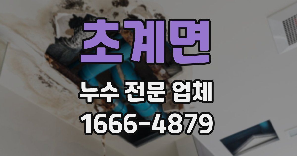 초계면 누수 전문 업체