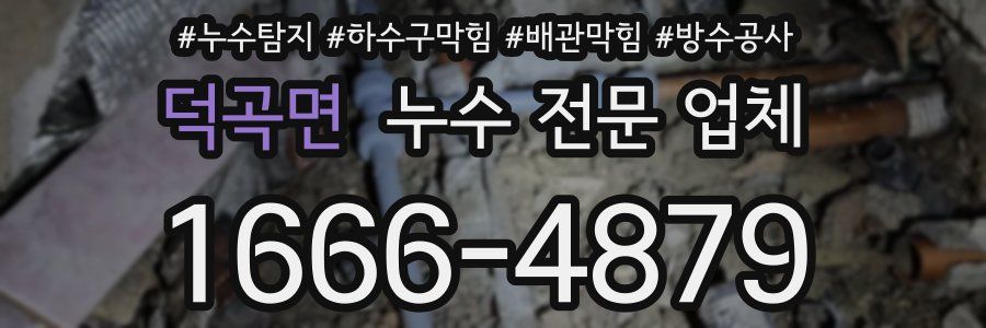 덕곡면 누수 전문 업체