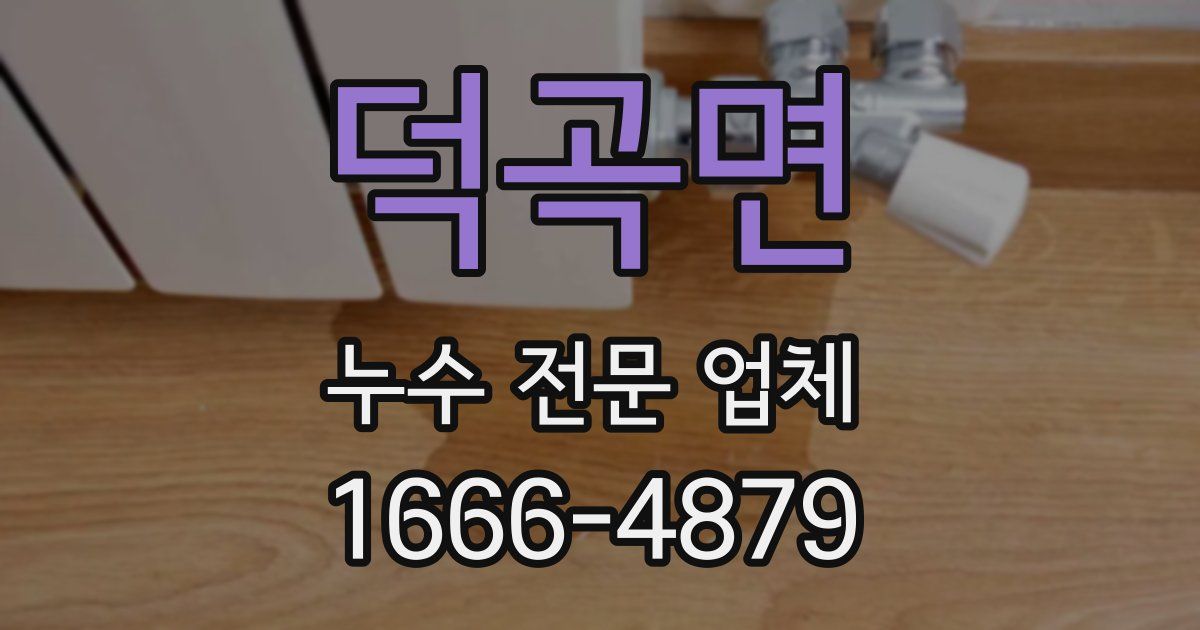 덕곡면 누수 전문 업체