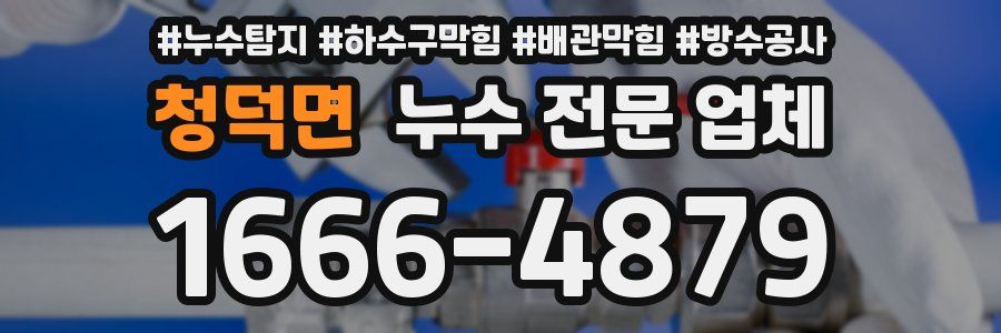 청덕면 누수 전문 업체