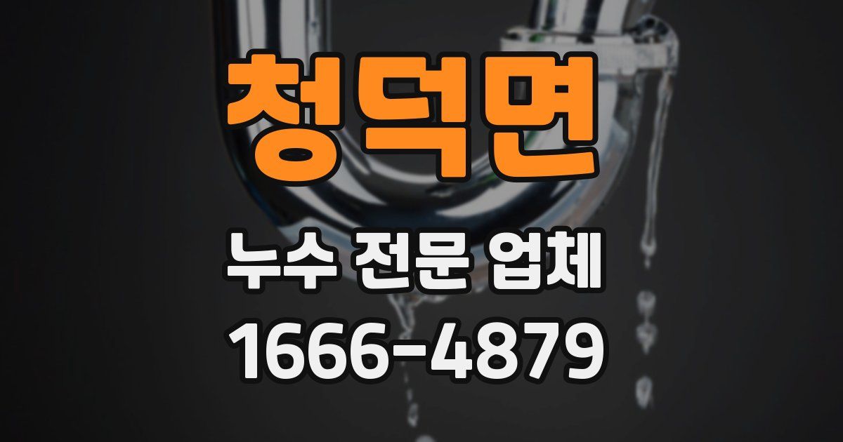청덕면 누수 전문 업체