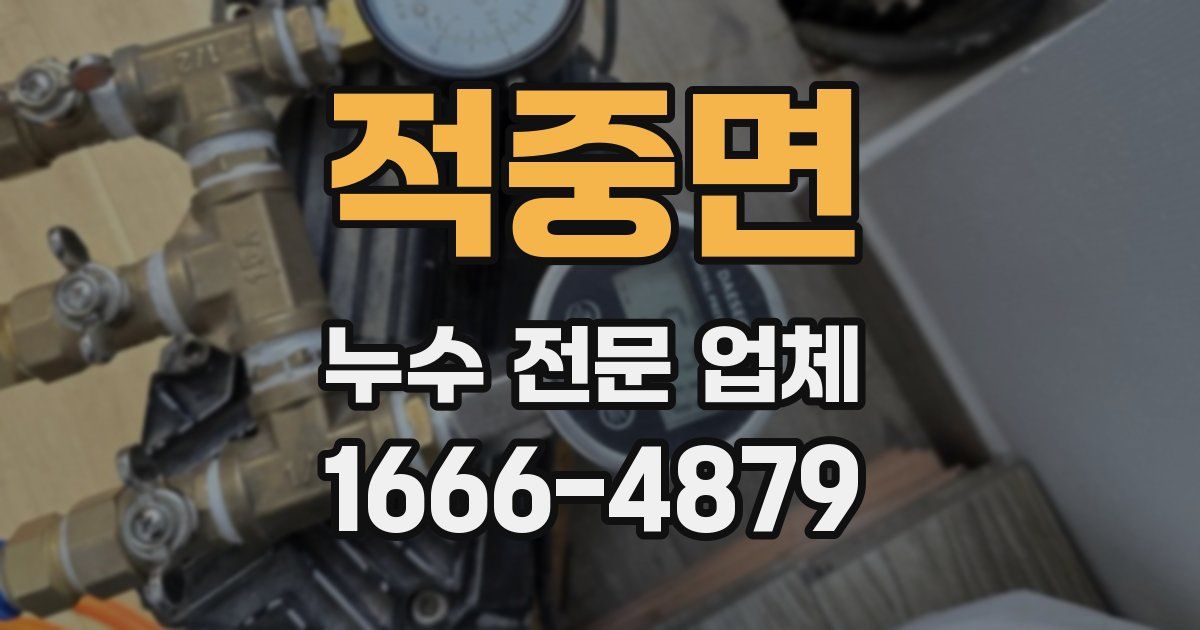 적중면 누수 전문 업체