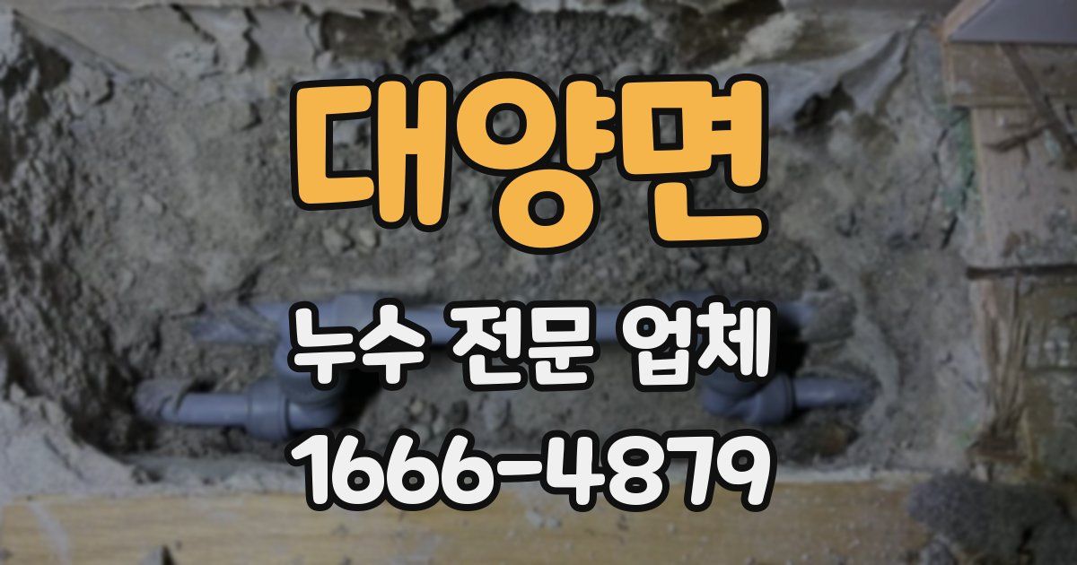 대양면 누수 전문 업체