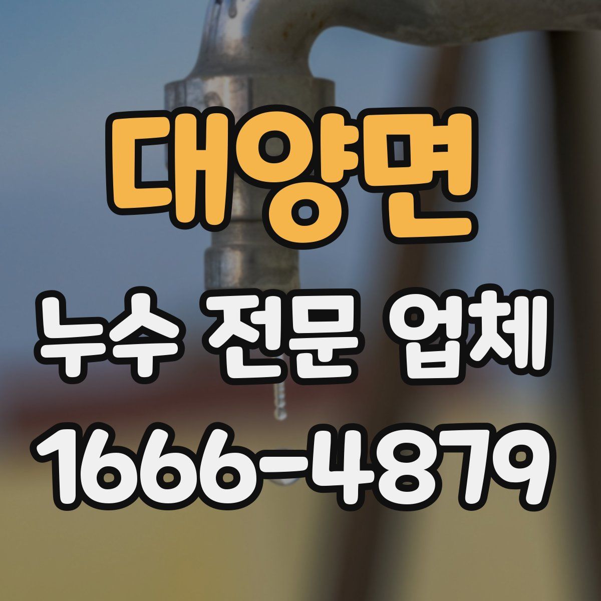 대양면 누수 전문 업체