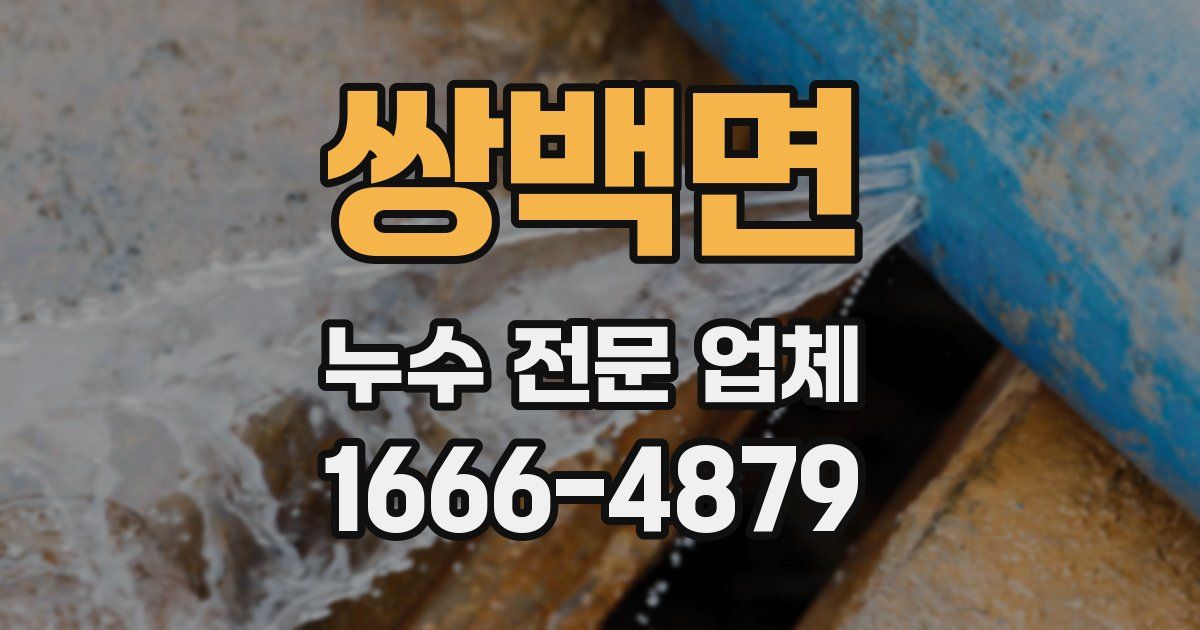 쌍백면 누수 전문 업체