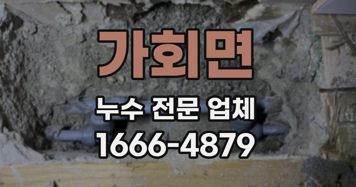 가회면 누수 전문 업체