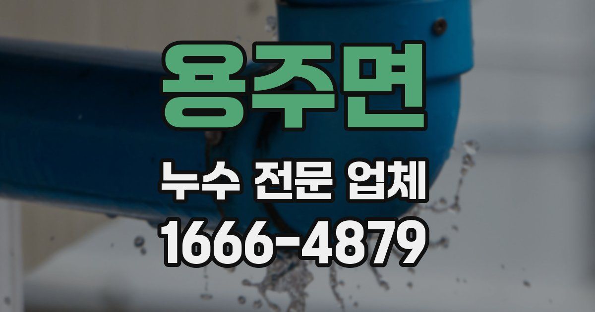 용주면 누수 전문 업체