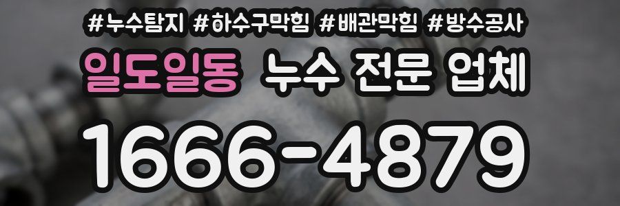 일도일동 누수 전문 업체