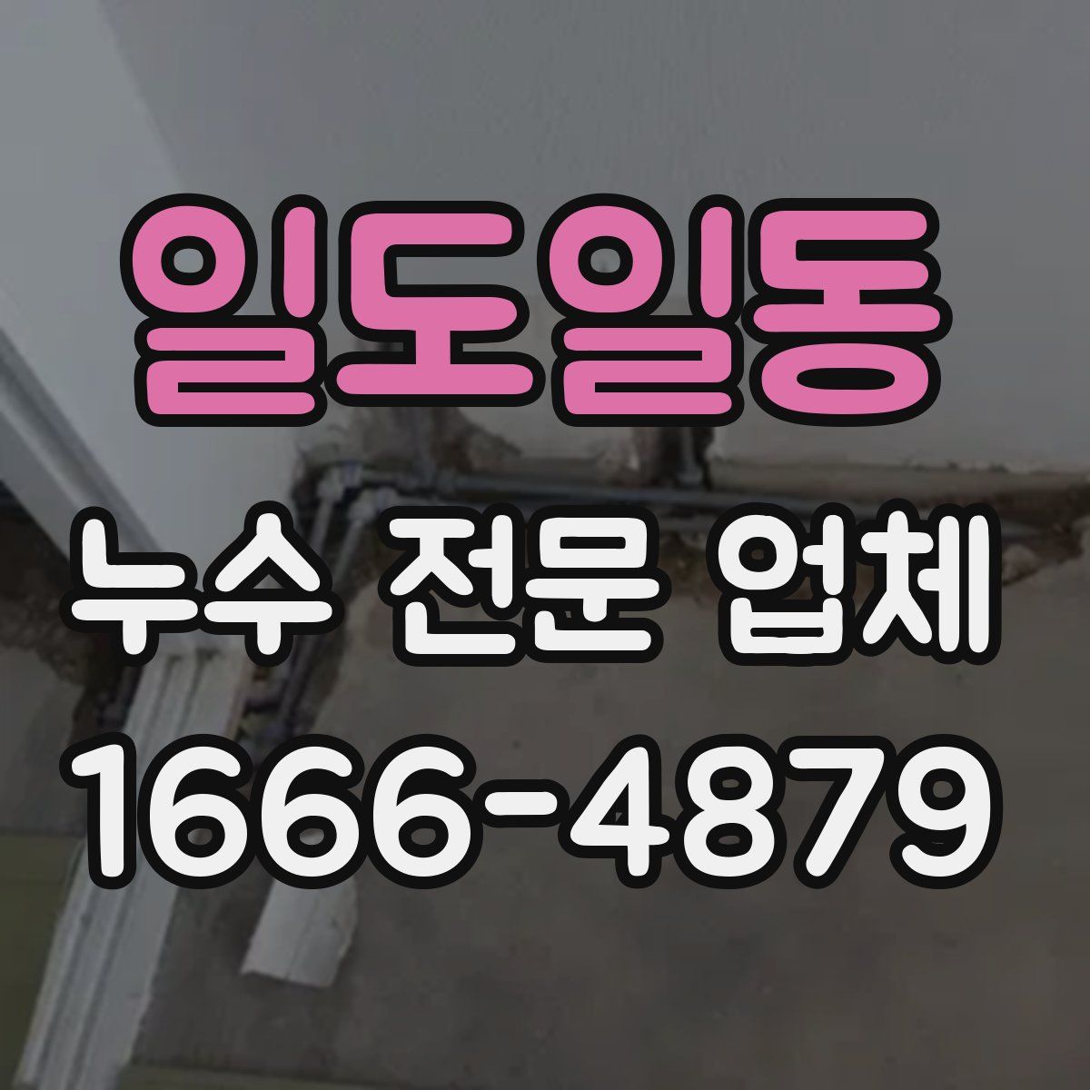 일도일동 누수 전문 업체