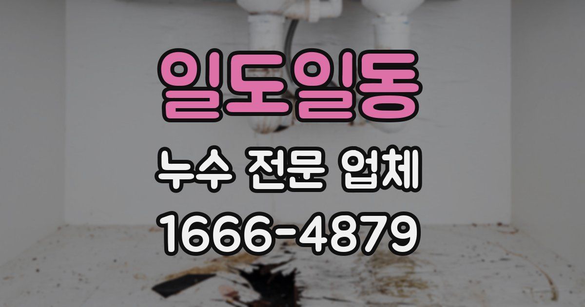 일도일동 누수 전문 업체