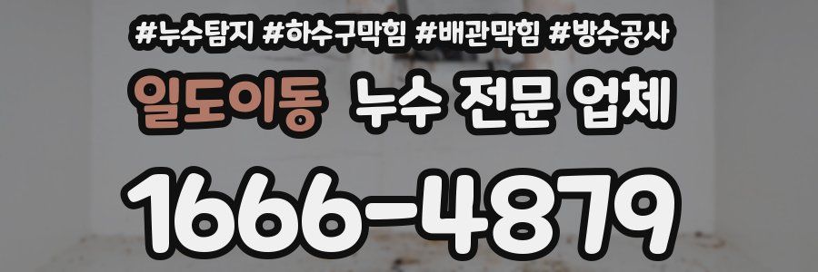 일도이동 누수 전문 업체