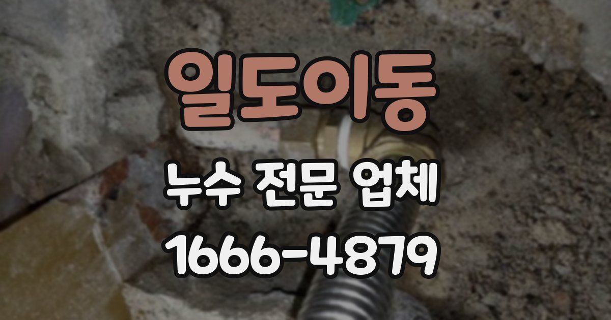 일도이동 누수 전문 업체