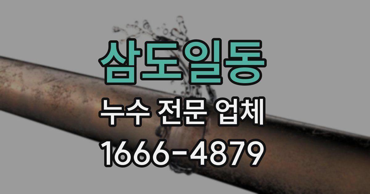 삼도일동 누수 전문 업체