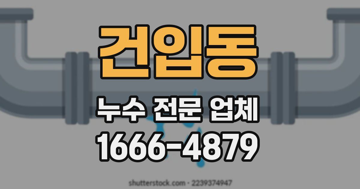 건입동 누수 전문 업체