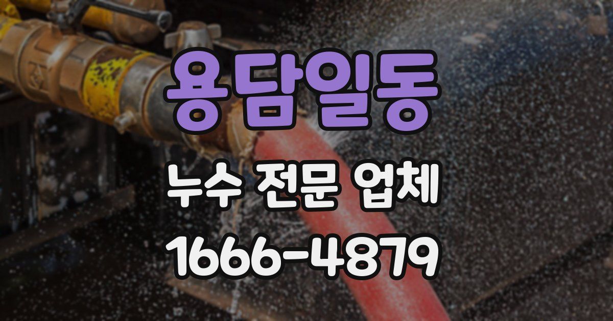 용담일동 누수 전문 업체