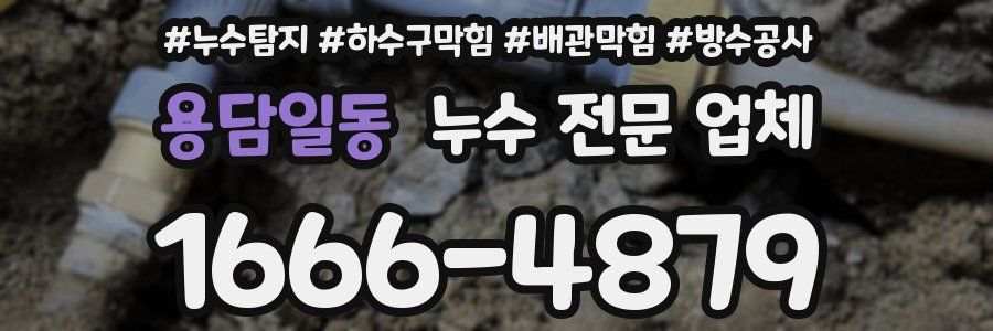 용담일동 누수 전문 업체